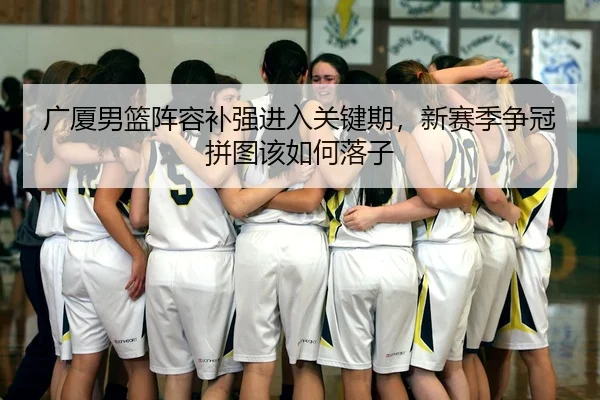 广厦男篮阵容补强进入关键期，新赛季争冠拼图该如何落子